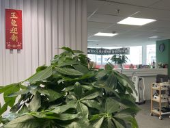 -章光101防脱养发荟