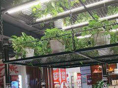 -猫爪爪原切自助烤肉(观音桥阳光世纪店)