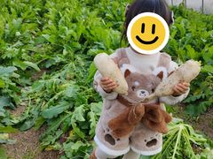 -九善农植有机生活农场