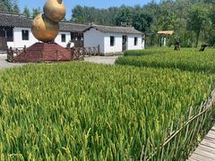 -溱湖国家湿地公园