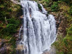 -海南热带雨林国家公园吊罗山景区