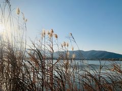 -长兴太湖图影湿地文化园