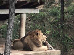 -石家庄市动物园