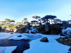 -罗红摄影艺术馆