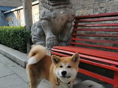 -韩城古城
