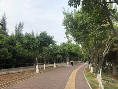 -五缘湾湿地公园