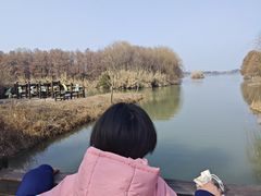 -苏州太湖国家湿地公园
