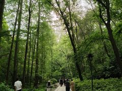 -宋宴(虎跑店)