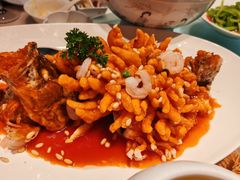 -北京老铺烤鸭(高新店)