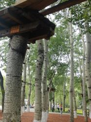 -寻石问宝研学亲子乐园(朝阳公园店)