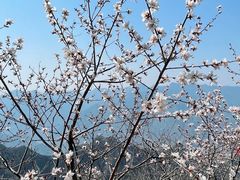 -圣莲山风景区