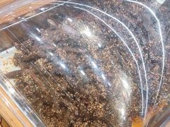 -嘉凌码头·重庆特产手工火锅底料(洪崖洞九楼店)