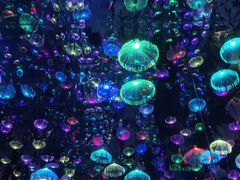 -梵高星空艺术馆(北京旗舰店)