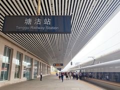 -塘沽站