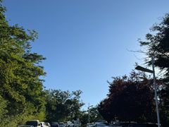-青岛电视塔