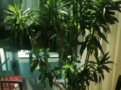 -浦江悦(陆家嘴保利广场店)