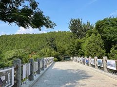 -佛慧山