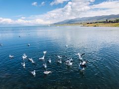 -青海湖国家重点风景名胜区