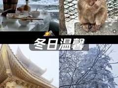 -峨眉山报国寺