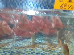 -顺德了能馆(虎门店)