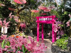 -海口观澜湖火山温泉谷