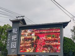 -枇杷园食为鲜火锅(南山店)