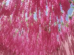 -河北村民俗体验园