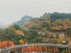 -福道