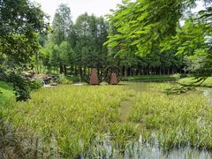 -森波拉奇妙世界