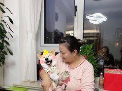 -阿姨来了家政·月嫂育儿嫂保姆(黄浦区店)