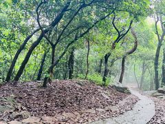-西湖风景区十里琅珰-五云山