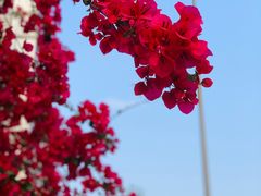 -中国建设银行(成都双林支行)