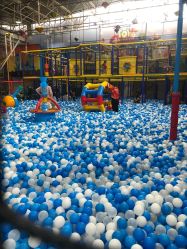 -爱丽丝奇幻乐园