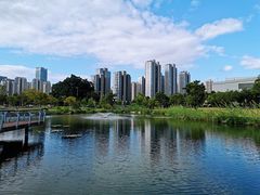 -牛岗山公园