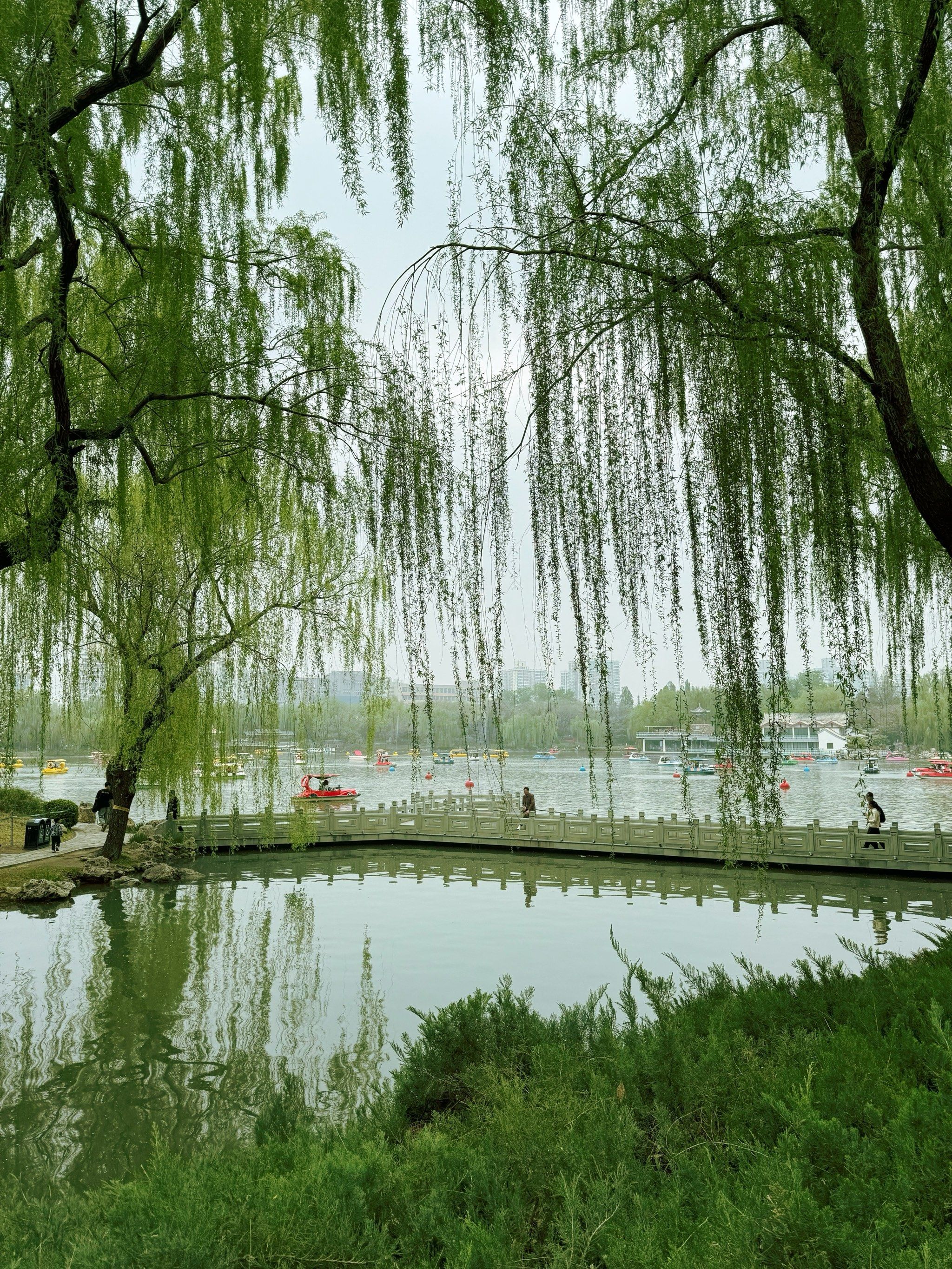 紫竹院公园