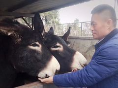 -元鼎宝驴香·全驴宴(江宁店)