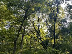 -大青沟风景区