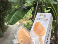 -明仕田园