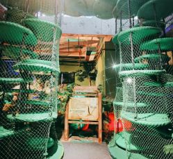 -恐龙探索乐园(磁器口店)