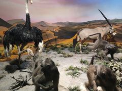 -国家自然博物馆