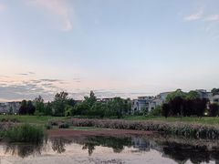 -两河城市森林公园