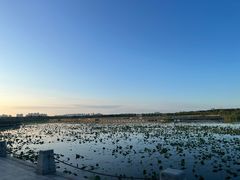 -天津东丽湖风景区