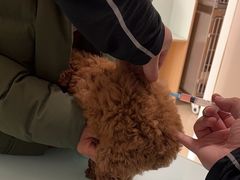 -宠福鑫康馨动物医院·骨科·眼科