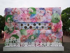 -荷塘月色湿地公园·向阳花洲
