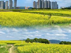 -光明小镇欢乐田园