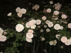 -太阳宫公园