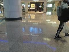 -VT101维多利广场