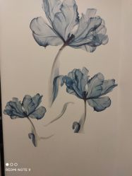 -DEM缔怡美科技美容