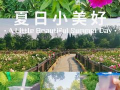 -黑龙江省森林植物园