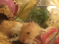 -龙猫仔乐园(惠福东路店)